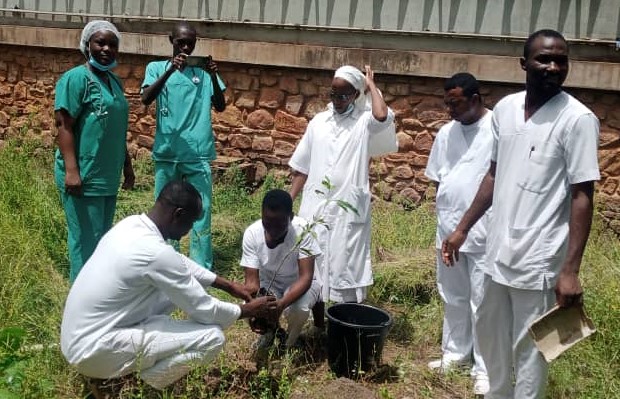 Célébration de la journée nationale de l’arbre à Tanguiéta